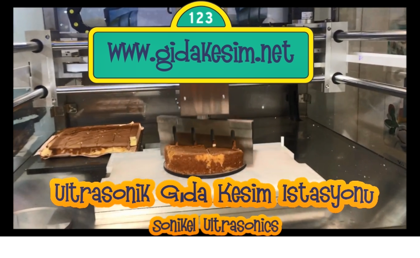 Ultrasonik Gıda Kesim İstasyonu